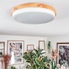 Hiral lampa sufitowa, panel LED kolory naturalne, biały, 1-punktowy