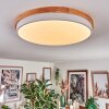 Hiral Lampa sufitowa, Panel LED Ecru, Biały, 1-punktowy, Zdalne sterowanie