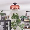 Boza Lampa sufitowa Przezroczysty, W kolorze miedzi, 1-punktowy