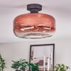 Boza Lampa sufitowa Przezroczysty, W kolorze miedzi, 1-punktowy