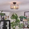 Boza lampa sufitowa bursztynowy, przezroczysty, 1-punktowy