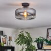 Boza Lampa sufitowa Przezroczysty, Przydymiony, 1-punktowy