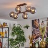 Gastor Lampa sufitowa, Kula świetlna Przydymiony, 6-punktowe