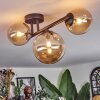 Chehalis Lampa sufitowa, Kula świetlna W kolorze bursztynu, 3-punktowe