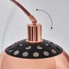 Baloca Lampa stojąca Miedź, Czarny, 1-punktowy