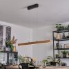 Fugelsta Lampa wisząca, Lampa wisząca LED Czarny, 1-punktowy