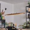 Fugelsta Lampa wisząca, Lampa wisząca LED Czarny, 1-punktowy