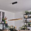 Fugelsta Lampa wisząca, Lampa wisząca LED Czarny, 1-punktowy