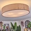 Foggia Lampa sufitowa Nikiel matowy, 3-punktowe