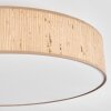 Foggia Lampa sufitowa Nikiel matowy, 3-punktowe