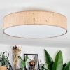 Foggia Lampa sufitowa Nikiel matowy, 3-punktowe