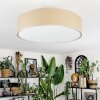 Foggia Lampa sufitowa Nikiel matowy, 3-punktowe