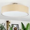 Foggia Lampa sufitowa Nikiel matowy, 3-punktowe