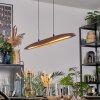 Fugelsta Lampa wisząca, Lampa wisząca LED Czarny, 1-punktowy