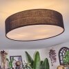 Foggia Lampa sufitowa Nikiel matowy, 3-punktowe
