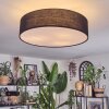 Foggia Lampa sufitowa Nikiel matowy, 3-punktowe