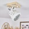 Herford Lampa Sufitowa Ecru, Biały, 1-punktowy