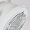 Herford Lampa Sufitowa Ecru, Biały, 1-punktowy