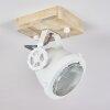 Herford Lampa Sufitowa Ecru, Biały, 1-punktowy
