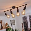 Cacoq Lampa Sufitowa Czarny, 4-punktowe