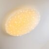 Deckenleuchte Lampa sufitowa LED Biały, 1-punktowy, Zdalne sterowanie