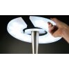 Oświetlenie Trio Quebec lampa stojąca, lampa stojąca LED nikiel matowy, 1-punktowy