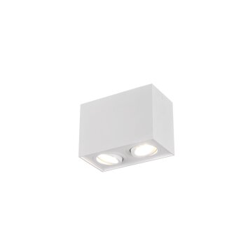 Lampa Sufitowa Trio Leuchten BISCUIT biały, 2-punktowe