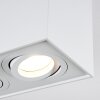 Baishan Lampa Sufitowa LED biały, 2-punktowe