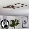 Doyon Lampa Sufitowa LED Czarny, 1-punktowy