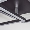 Doyon Lampa Sufitowa LED Czarny, 1-punktowy