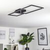 Doyon Lampa Sufitowa LED Czarny, 1-punktowy