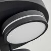 Huallilemu Lampa Sufitowa LED Czarny, 3-punktowe