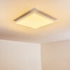Voisines Lampa Sufitowa LED Biały, 1-punktowy, Zdalne sterowanie, Zmieniacz kolorów