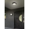 Oświetlenie Trio Decken- Lampa sufitowa, Lampa ścienna LED Antracytowy, 1-punktowy