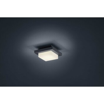Oświetlenie Trio Decken- lampa sufitowa, kinkiet LED antracytowy, 1-punktowy