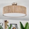 Foggia Lampa sufitowa Nikiel matowy, 3-punktowe