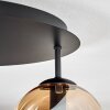 Gastor lampa sufitowa, kula świetlna 45 cm bursztynowy, przezroczysty, przydymiony, 5-punktowe