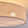 Foggia Lampa sufitowa Nikiel matowy, 3-punktowe