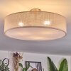 Foggia Lampa sufitowa Nikiel matowy, 3-punktowe