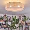 Foggia Lampa sufitowa Nikiel matowy, 3-punktowe