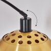 Baloca Lampa stojąca Czarny, 1-punktowy