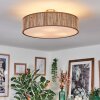 Foggia Lampa sufitowa Nikiel matowy, 3-punktowe