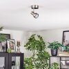 Edain Lampa sufitowa, Spot sufitowy LED Chrom, Nikiel matowy, 1-punktowy