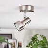 Edain Lampa sufitowa, Spot sufitowy LED Chrom, Nikiel matowy, 1-punktowy