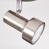 Edain Lampa sufitowa, Spot sufitowy LED Chrom, Nikiel matowy, 1-punktowy