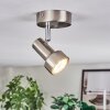 Edain Lampa sufitowa, Spot sufitowy LED Chrom, Nikiel matowy, 1-punktowy