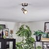 Edain Lampa sufitowa, Spot sufitowy LED Chrom, Nikiel matowy, 1-punktowy