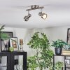 Edain Lampa sufitowa, Spot sufitowy LED Chrom, Nikiel matowy, 2-punktowe
