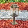 Tieva Lampa na cokół, Oświetlenie ścieżek Brązowy, Złoty, 1-punktowy