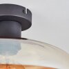 Mertola lampa sufitowa bursztynowy, przezroczysty, 1-punktowy
